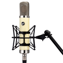 Warm Audio WA-251 – ламповый конденсаторный микрофон