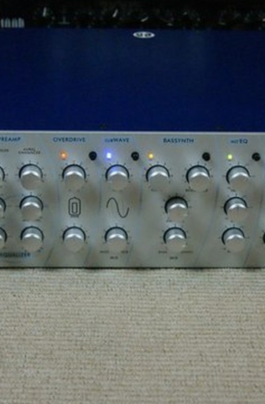 SWR Mo Bass Head