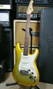 G&L American S-500 Custom Order