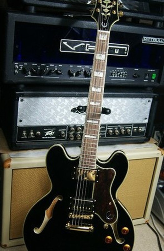 Epiphone Sheraton II NEW