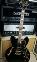 Epiphone Sheraton II NEW