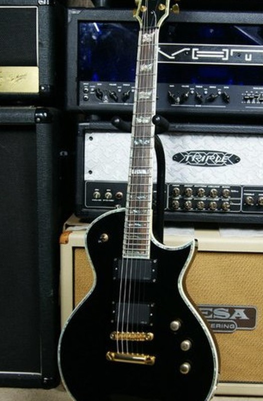 ESP LTD ЕС-1000 Deluxe