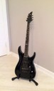 ESP LTD Deluxe H-1001