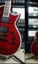 ESP LTD EC1000 Deluxe Red Flame Top