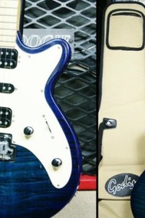 Godin SDXT Leaf Top (made in USA)