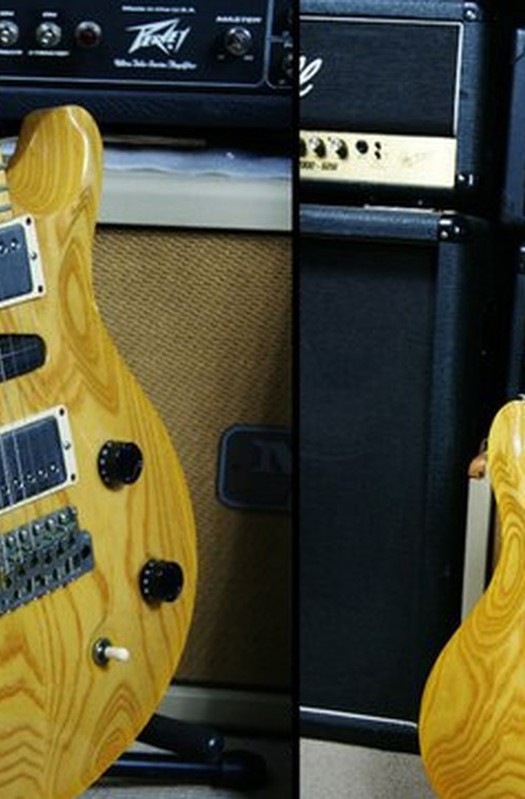 PRS Swamp Ash Special