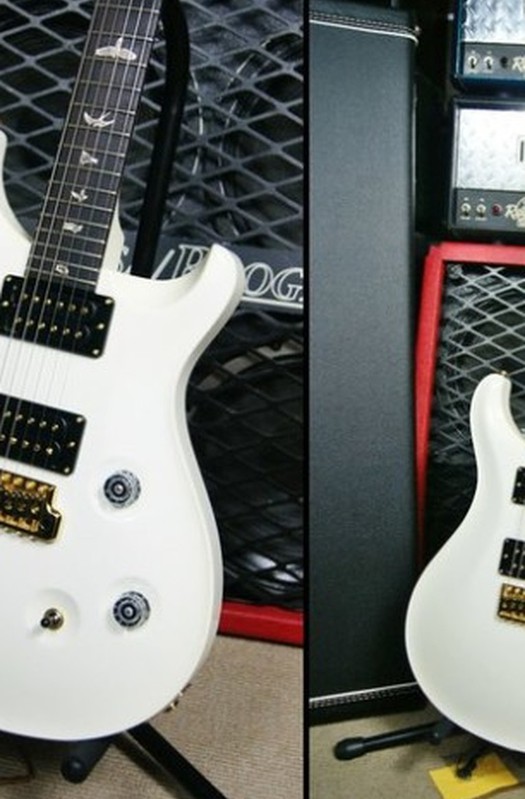 PRS Navarro Signature Custom 24