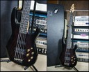 Carvin B5 Bass (made in USA)