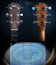 2003 Taylor 414 CE