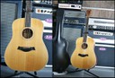 Taylor DN3 (made in USA)