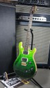 PRS P24 Trem Wood Library Brazillian NEW