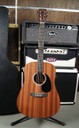 Martin DRS-1 Fishman Sonitone