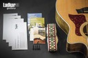Taylor 456ce SLTD 2014 Spring Limited Edition 12 String Acoustic - Electric Guitar