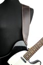 Ремень гитарный Richter GUITAR STRAP LUXURY BUFFALO PINE 1071