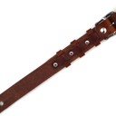 Ремень гитарный Richter GUITAR STRAP LUXURY SPECIAL SPRINGBOK NATURAL  1066