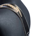 Ремень гитарный Richter GUITAR STRAP RAW II LIGHTNING BRONZE / GOLD / RS  #1594