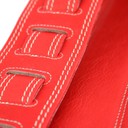 Ремень гитарный Richter  GUITAR STRAP SPRINGBREAK I  RED 1339