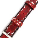 Ремень гитарный Richter GUITAR STRAP RICH RED BURST 1349