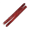 Ремень гитарный Richter GUITAR STRAP RICH RED BURST 1349