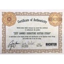 Ремень гитарный Richter JEFF LOOMIS SIGNATURE GUITAR STRAP 1015JL-GR