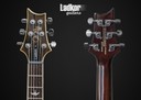 2019 PRS SE Custom 24 Ziricote Limited Edition NEW