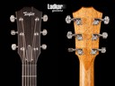 2020 Taylor Custom GP Ziricote Lutz Bearclaw NAMM Acoustic Electric NEW