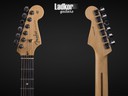 2017 Fender American Professional Stratocaster HSS ShawBucker Silverburst Ebony FB