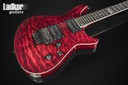 2010 ESP Standard Formula FR-II STBC See Thru Black Cherry Quilt Top 11 Years Time Capsule NEW