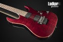 2011 Ibanez Prestige RGA420Z-PRT Predators Tongue 10 Years Time Capsule Japan NEW