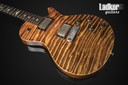 2014 PRS Private Stock SC 245 Zombie Fade Singlecut Cocobolo Neck