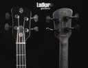 Spector Euro 4 LE Squid Limited Edition 4 String Bass NEW
