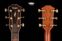 Taylor 814ce Builder's Edition Natural Grand Auditorium Acoustic Electric Guitar NEW