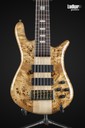 Spector Euro 6 LX Poplar Burl Gloss EMG 6 String Bass NEW