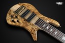 Spector Euro 6 LX Poplar Burl Gloss EMG 6 String Bass NEW