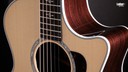 Taylor 414ce Natural Grand Auditorium Acoustic Electric Guitar NEW