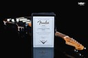 Fender Custom Shop LTD Poblano Strat Super Heavy Relic Stratocaster Aged Black Limited Edition