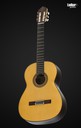 Vicente Carrillo Alegrias Negra Estudio Flamenco 6 String Guitar