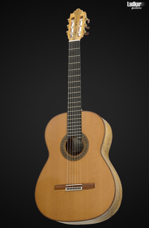 Vicente Carrillo Herencia NC SP Madagascar RW Classical Grand Concert Lattice Construction 6 String Guitar