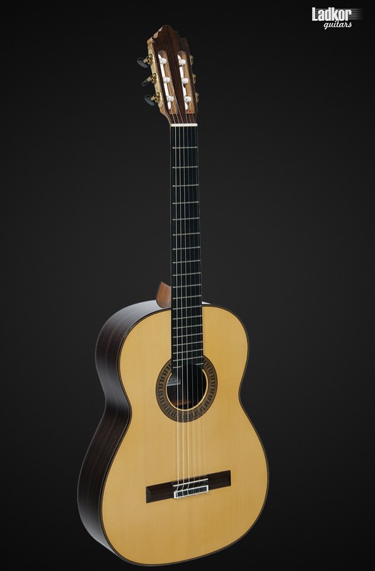 Vicente Carrillo Pasion India Flamenco Concert Special 6 String Guitar