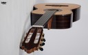 Vicente Carrillo Pasion India Flamenco Concert Special 6 String Guitar