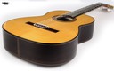 Vicente Carrillo Alegrias Negra Estudio Flamenco 6 String Guitar