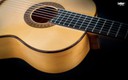Vicente Carrillo Alegrias Blanca Estudio Flamenco 6 String Guitar