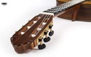 Vicente Carrillo Gabriela Classical Grand Concert 6 String Guitar