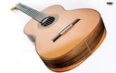Vicente Carrillo Herencia NC Madagascar RW Classical Grand Concert Lattice Construction 6 String Guitar