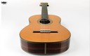 Vicente Carrillo India Primera Classical Concert 6 String Guitar