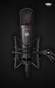 Warm Audio WA-87jr Black Large-Diaphragm FET Transformerless Condenser Microphone
