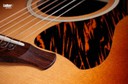Taylor Gold Label 717e Sunburst Firestripe Pickguard Grand Pacific Acoustic Electric Guitar