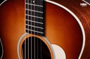 Taylor Gold Label 514e SB Sunburst Cream Pickguard Super Auditorium Acoustic Electric Guitar