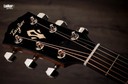 Taylor Gold Label 517e Blacktop Grand Pacific Acoustic Electric Guitar