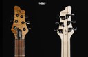 Mayones Setius 6 Trans Natural Satin Flamed Maple Sapele T-NAT-S T.E.W.